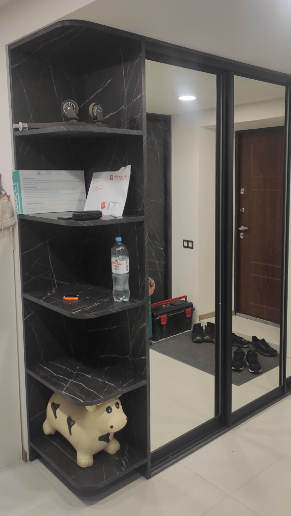 Дверные створки купе Зеркало (В.2168 Ш.1282) 2шт.